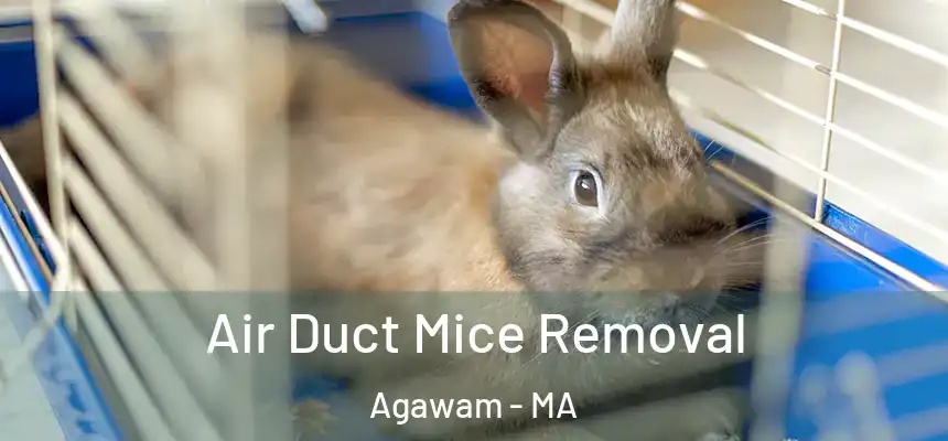 Air Duct Mice Removal Agawam - MA