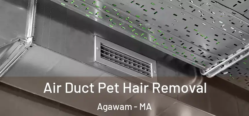  Air Duct Pet Hair Removal Agawam - MA