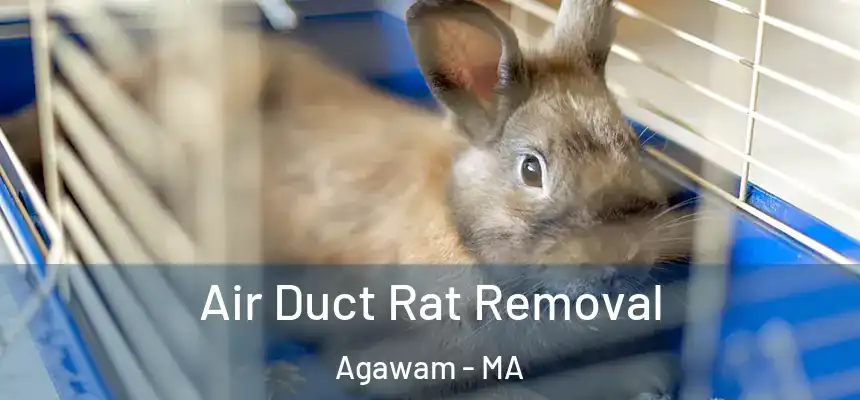 Air Duct Rat Removal Agawam - MA