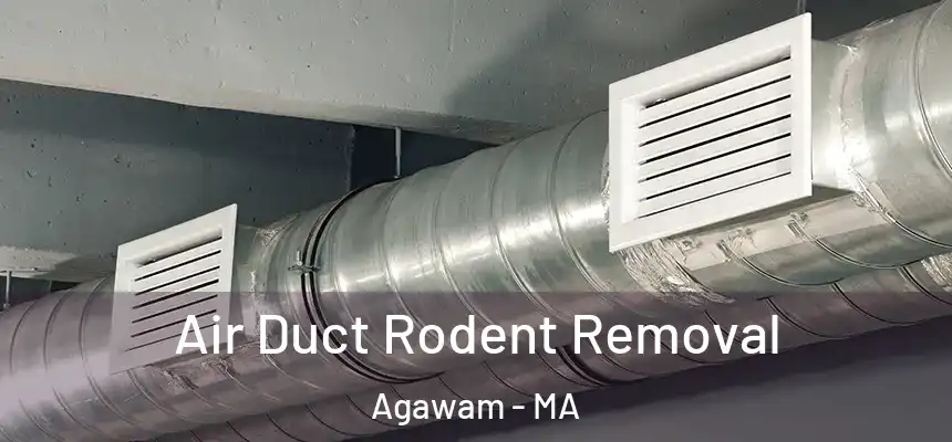  Air Duct Rodent Removal Agawam - MA