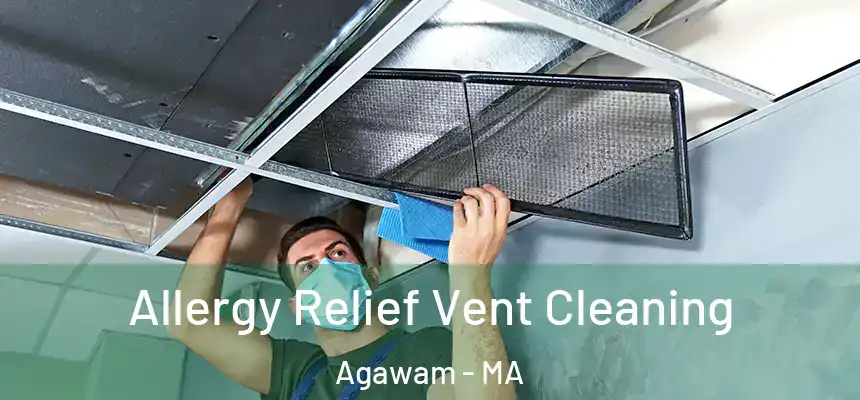 Allergy Relief Vent Cleaning Agawam - MA