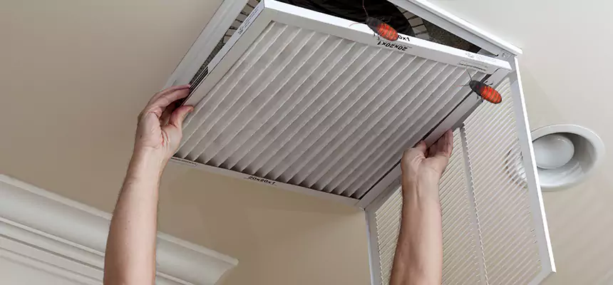 Preventive Cockroach-Proofing for Ducts in Agawam