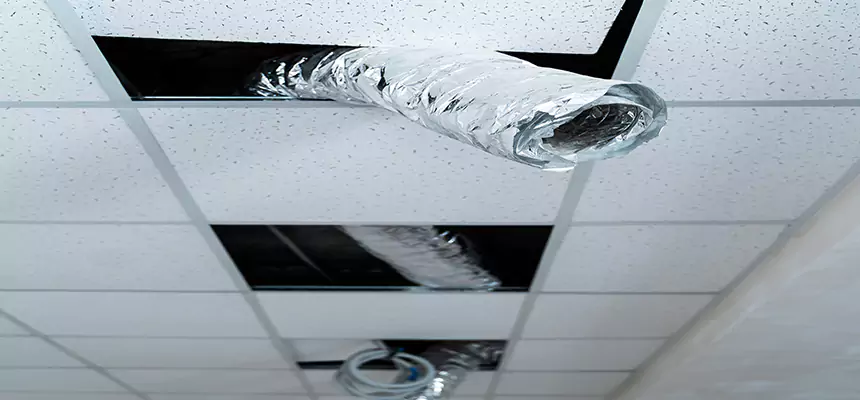 Affordable HVAC Sanitizing After Pest Removal in Agawam