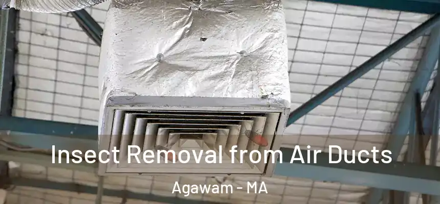Insect Removal from Air Ducts Agawam - MA