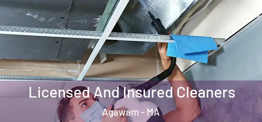 Licensed And Insured Cleaners Agawam - MA