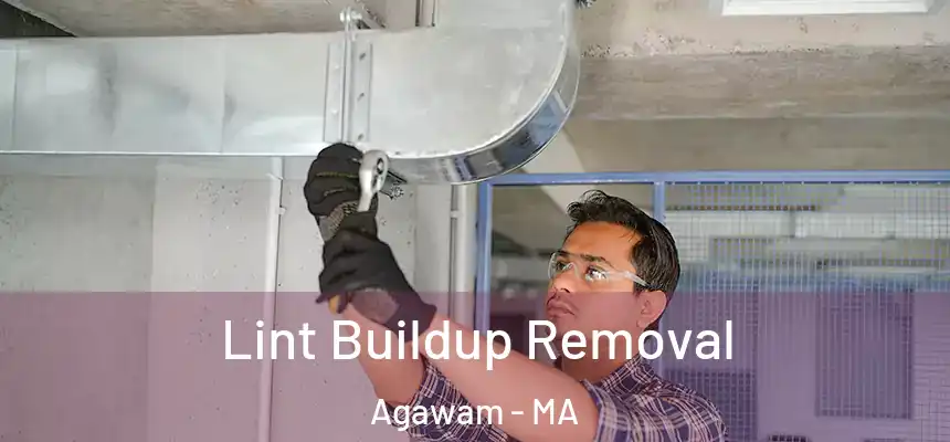  Lint Buildup Removal Agawam - MA