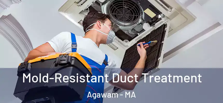 Mold-Resistant Duct Treatment Agawam - MA