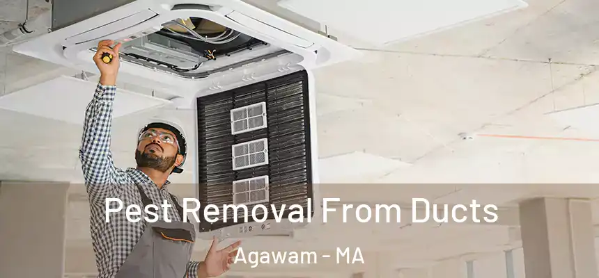 Pest Removal From Ducts Agawam - MA