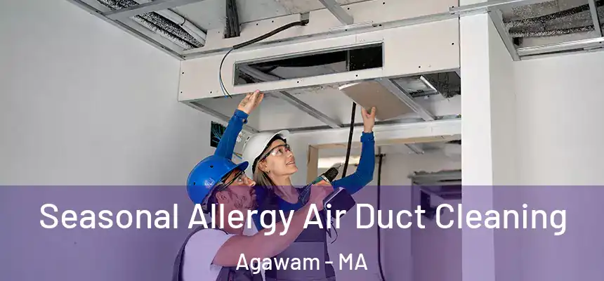  Seasonal Allergy Air Duct Cleaning Agawam - MA