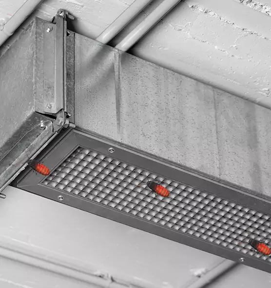 About Air Duct Cockroach Removal in Agawam, MA