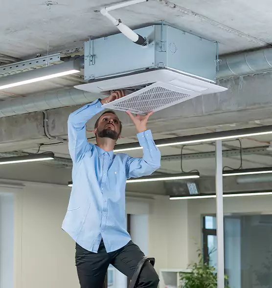 Advanced Rodent Droppings In Vents in Agawam, MA