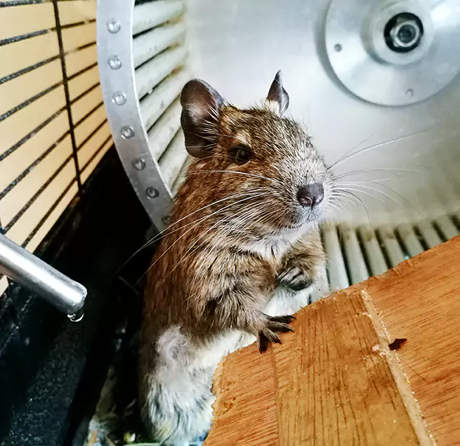 Why Homeowners & Businesses Trust Us Agawam, MA