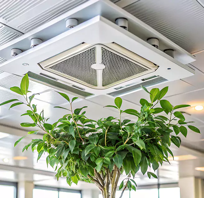 Why Homeowners & Businesses Trust Us in Agawam, MA